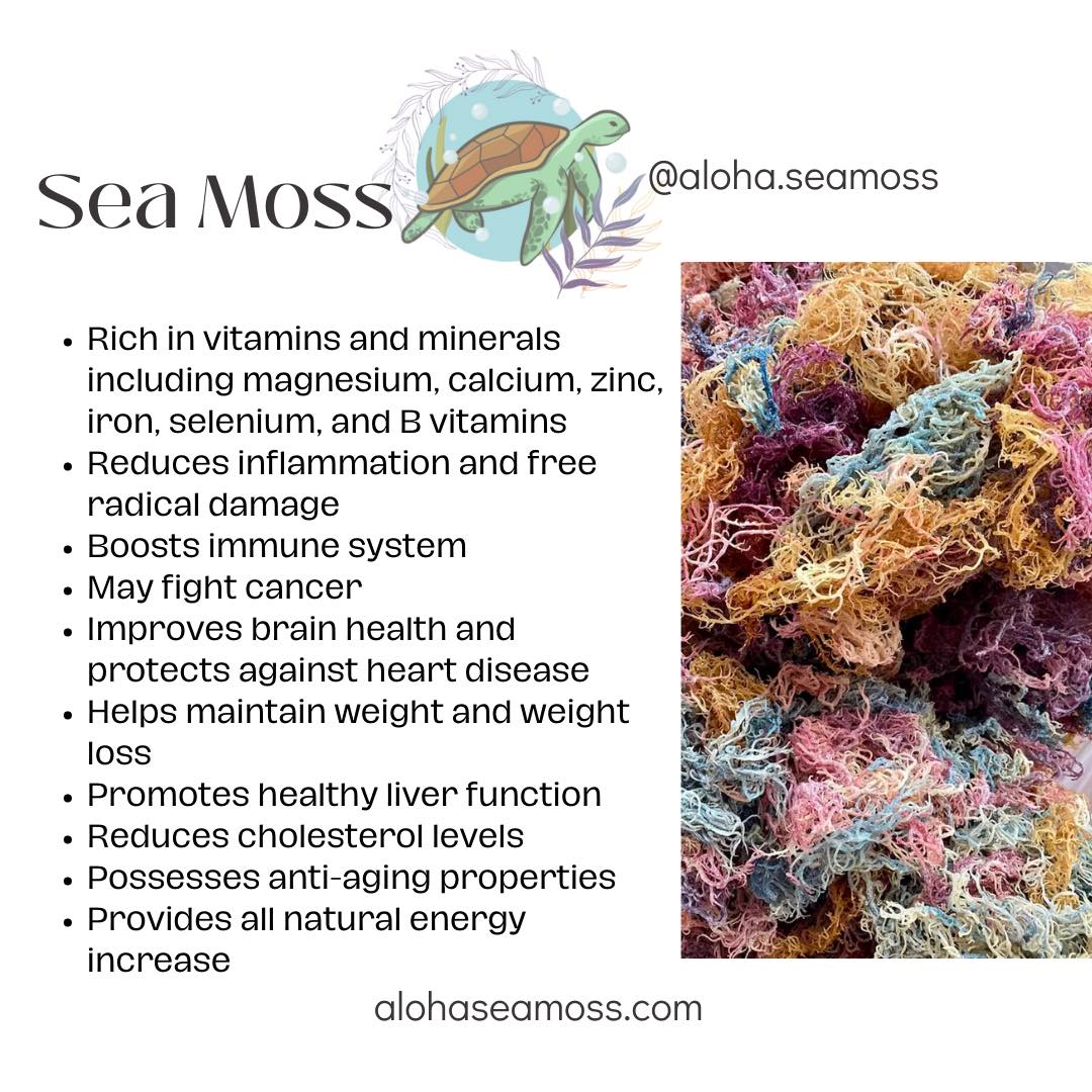 Sea Moss, Bladderwrack & Burdock Root Gel
