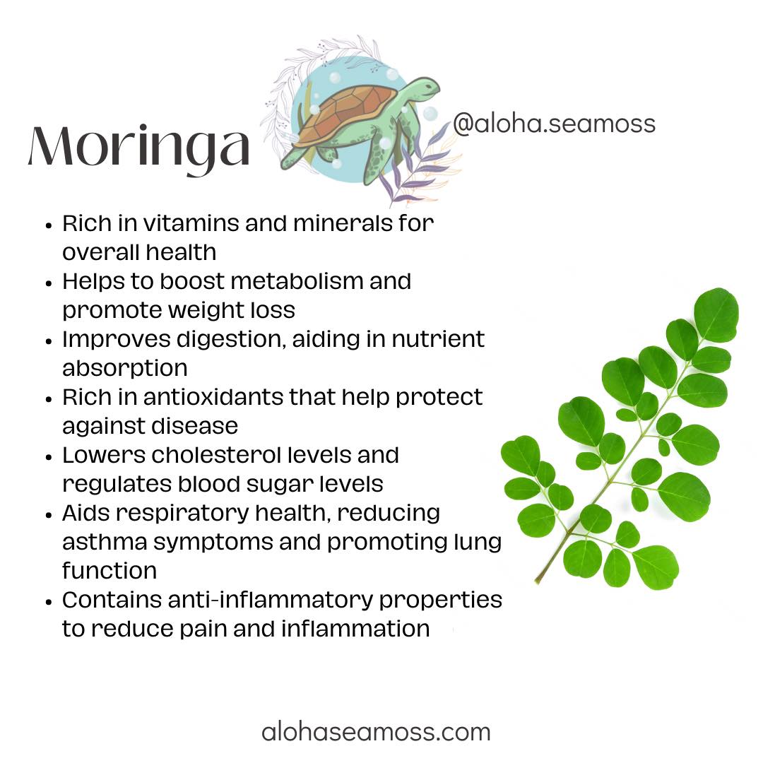 Sea Moss w/ Moringa Capsules