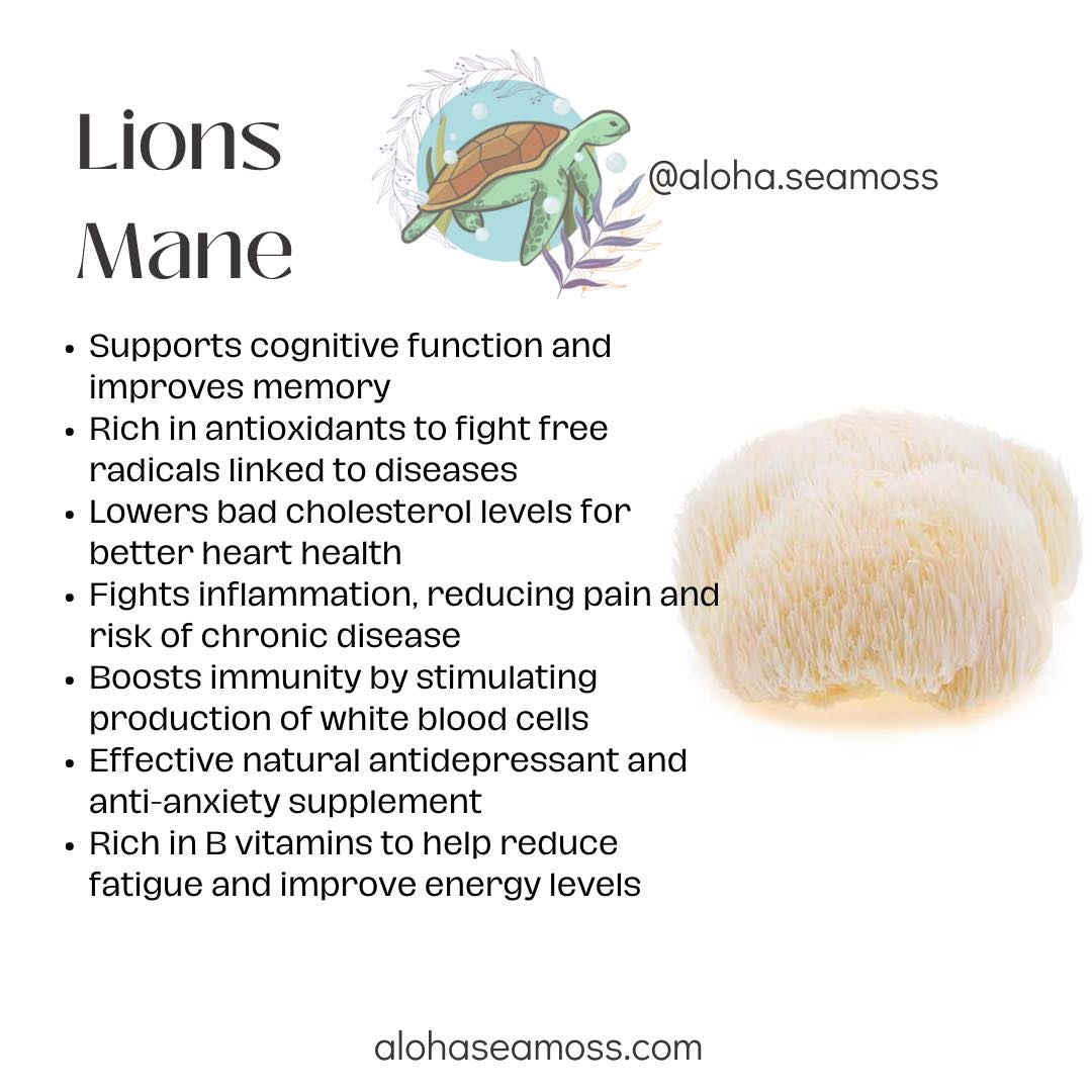 Sea Moss w/ Lion's Mane Capsules